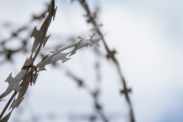 Barbed wire on sky background.