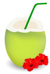 ヤシ　ココナツ　ハイビスカス　アイコン