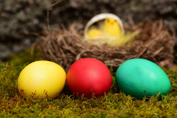 colorful eggs in moss. Happy Easter concept