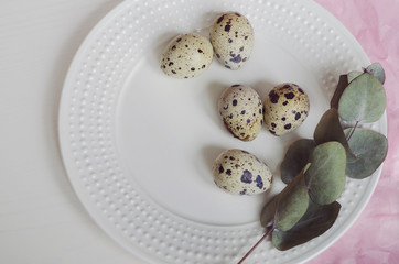 Table setting with white plate, green twig and quail eggs on a pink tissue paper. Prepare to Easter.