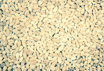 Pearl barley Close Up .