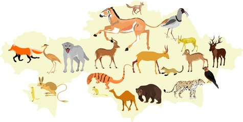 Map of wild Kazakhstan vector illustration