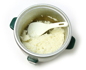 Cooked Rice in electric pot