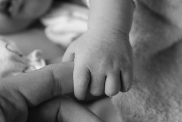 Close-up of baby's hand holding mother's finger with tenderness, black and white