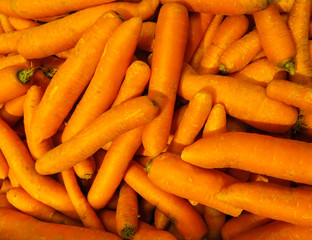 Fresh carrots.