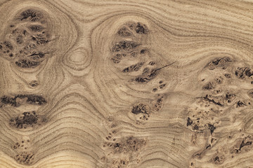 Fototapeta na wymiar unique wood texture with knots and cracks