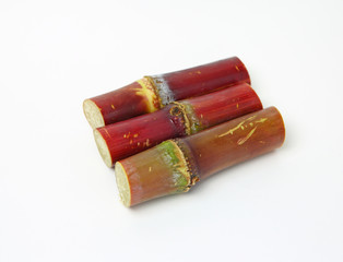 Short Stumps Of Sugarcane on white background
