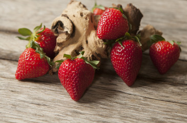 présentation de fraises fraiches