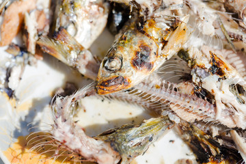 Obraz na płótnie Canvas Grilled eaten sardines on plate close up on bones, head and eye