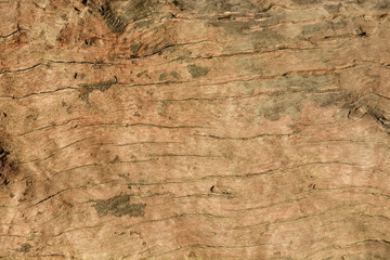 wood background texture