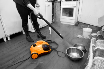 Fototapeta na wymiar Woman Cleaning Home