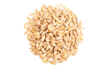 Barley seeds isolated on white