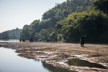 Tourists on elephant trekking in an elephant camp in province CHIANGRAI,NORTHERN THAILAND