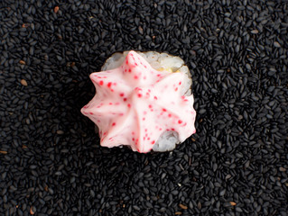 Sushi Roll with Caviar Sauce and Seaweed Nori on Dark Background