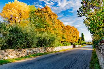 intense colors and scents of autumn in the Chianti hills in Tuscany