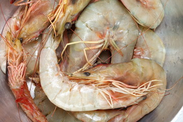 Prawn put in the stainless steel bowl represent the seafood raw material. 
