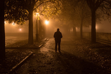 autumn park with fog and trees