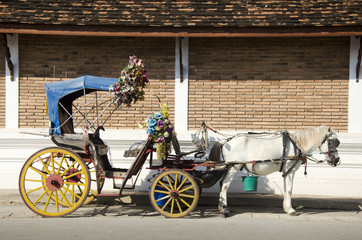 Horses drawn carriage waiting travelers people use service tour around city at Wat Phra That Lampang Luang
