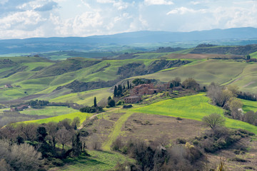 Fototapeta na wymiar trees and houses in the green hills of Tuscany in spring