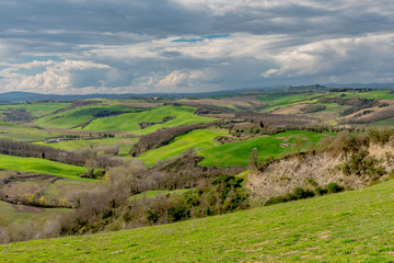 Fototapeta premium trees and houses in the green hills of Tuscany in spring