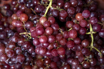 red grapes
