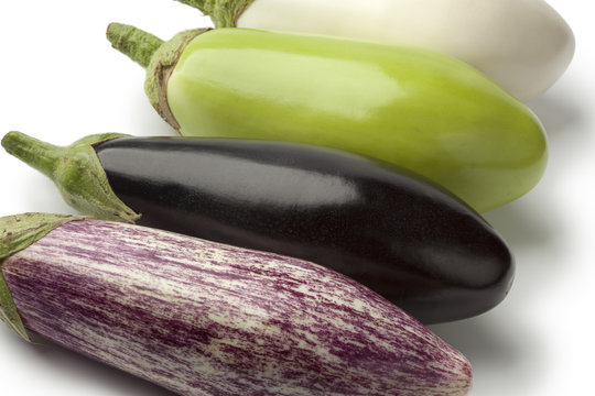 Variety of eggplants in a row