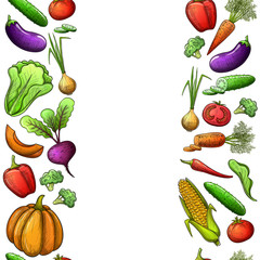 Colorful sketch style seamless vertical borders of vegetables. Eco organic fresh template with vegetables for the decoration of menu. Vector.