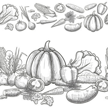 Monochrome sketch style seamless horizontal borders of vegetables. Eco organic fresh template with vegetables for the decoration of menu. Vector.