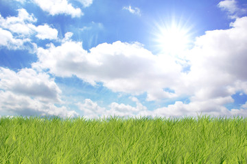 Grass and sky with sun and clouds 