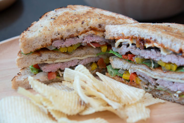  sandwich closeup with  tomatoes chip potato