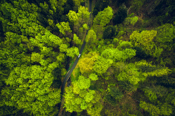 Top view at a road in the green forest, Czech republic