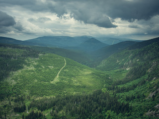 Fototapeta na wymiar Vast valley with forest in cloudy day, Krkonoše, Czechia
