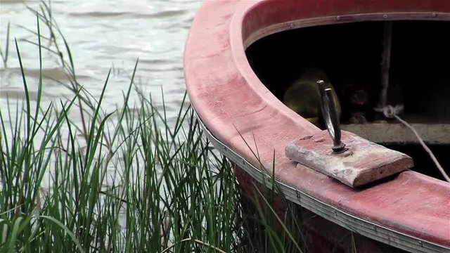 Rowboat Moored on Lake Shore Near Reeds. Close-Up. 