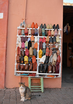 Gato con babuchas en un mercado de Marrakesh, Marruecos.