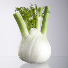 Fenchel