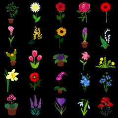 Flowers flat icon set