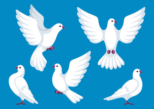Set Of Five White Doves. Beautiful Pigeons Faith And Love Symbol