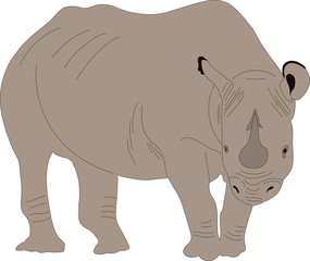 Obraz premium Portrait of a standing rhinoceros, hand drawn vector illustration isolated on white background