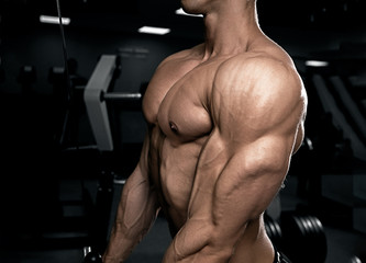 Obraz na płótnie Canvas Exercise for triceps in the gym