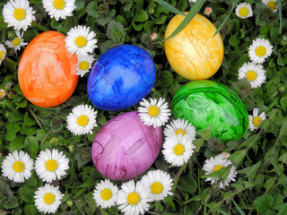bunte Ostereier in Gänseblumenwiese