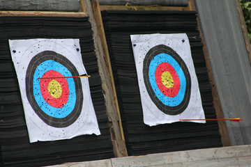 Arrows in archery target