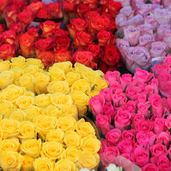 Rose bouquets in shop
