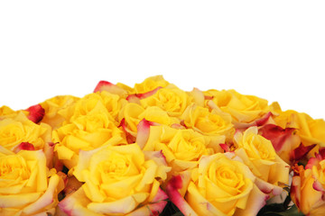 Yellow rose bouquet