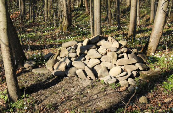 grave of a pet, mound of stones in the forest