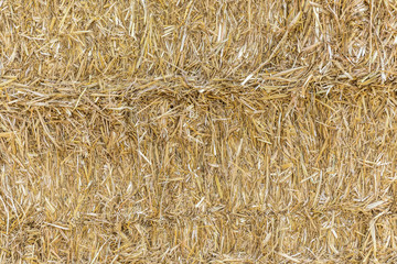 detail of golden bale of straw