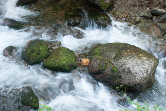 Steine im Wildbach