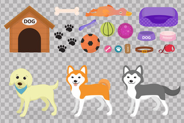 Dogs stuff icon set with accessories for pets, flat style, isolated on white background. Domestic animals collection with a Husky, akita inu, lablador. Puppy toy. Vector illustration, clip art