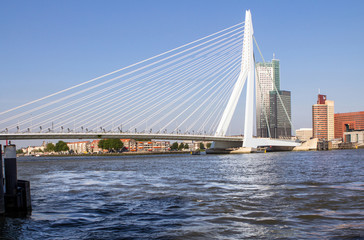 Fototapeta na wymiar Erasmus Bridge in Rotterdam, Netherlands