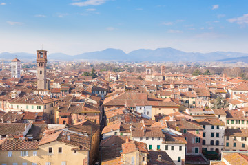 Fototapeta na wymiar Lucca view from Guinigi Tower.
