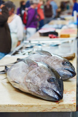 Atlantic tuna on fish market in Portugal